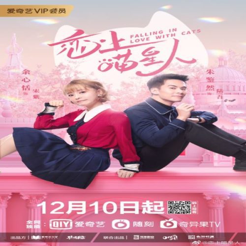 Falling In Love With Cats ح12 مسلسل الوقوع في حب القطط الحلقة 12 مترجمة