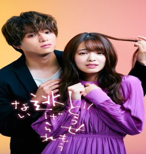 Can’t Run Away from Love ح9 الاخيرة مسلسل ‏‏‏لا أسـتطيـع الهـروب مِـن الحُـب الحلقة 9 الاخيرة مترجمة