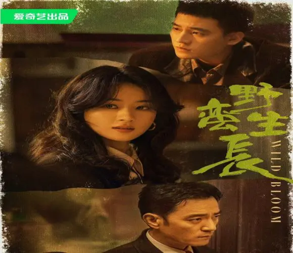 Wild Bloom ح31 مسلسل النمو الوحشي الحلقة 31 مترجمة